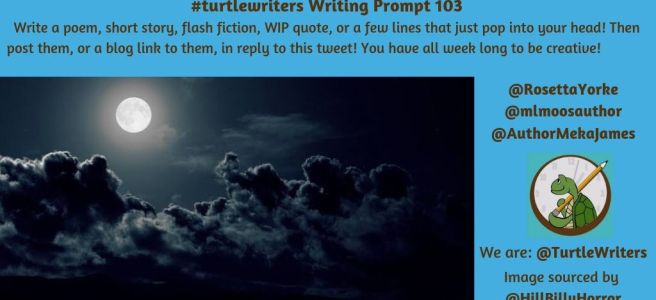 TurtleWriters Writing Prompt 103