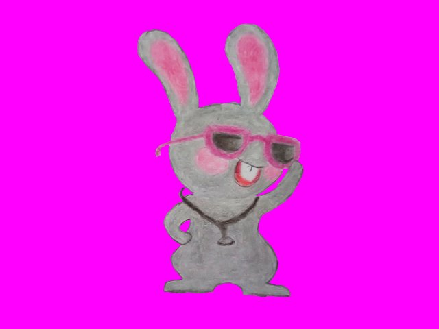 Doctor Bunny