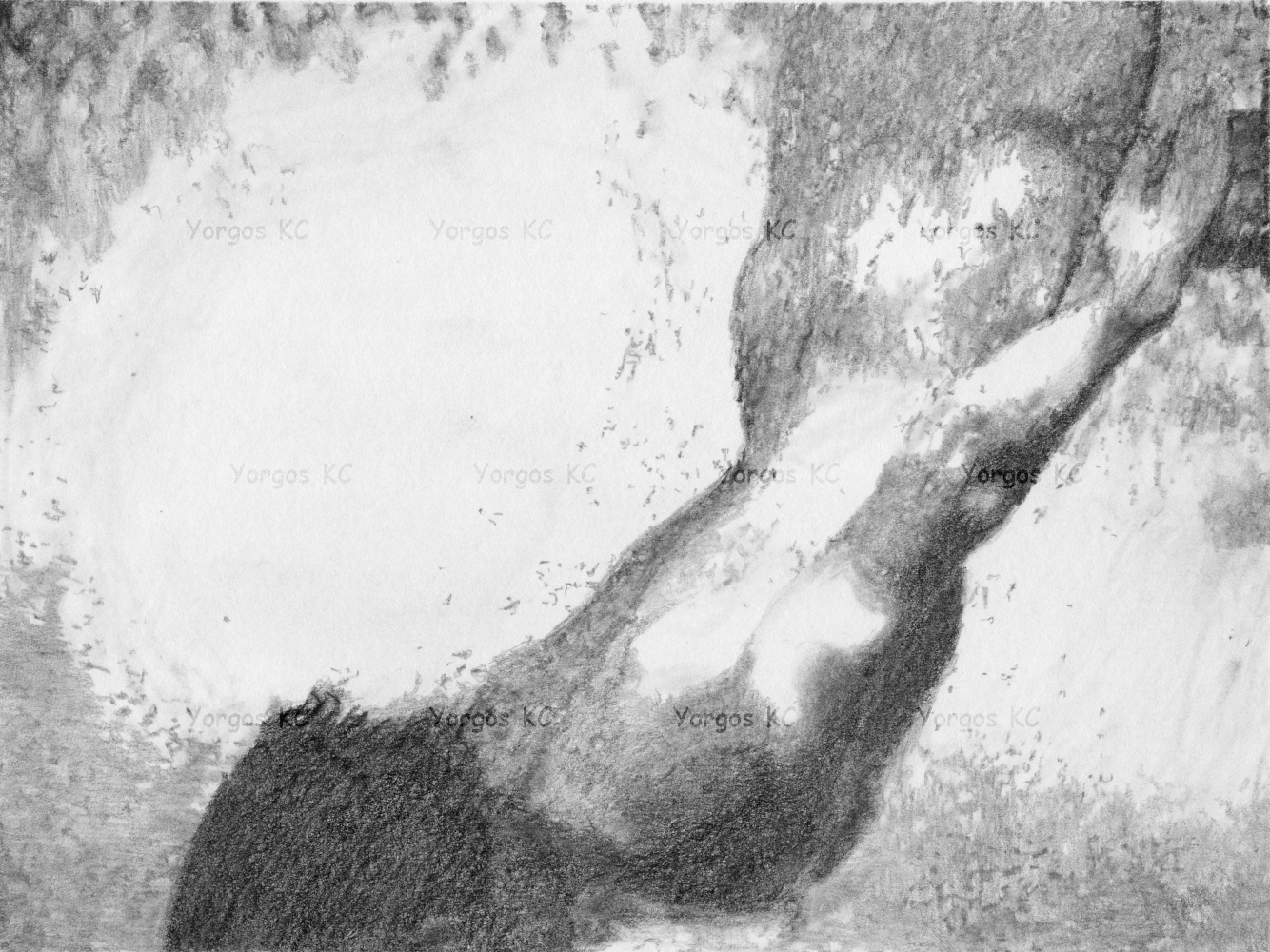 A monochromatic pencil drawing of a naked guy diving in the water. The drawing shows the guy in the water.