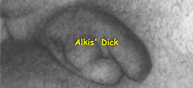 A close up pencil drawing of a flaccid dick.