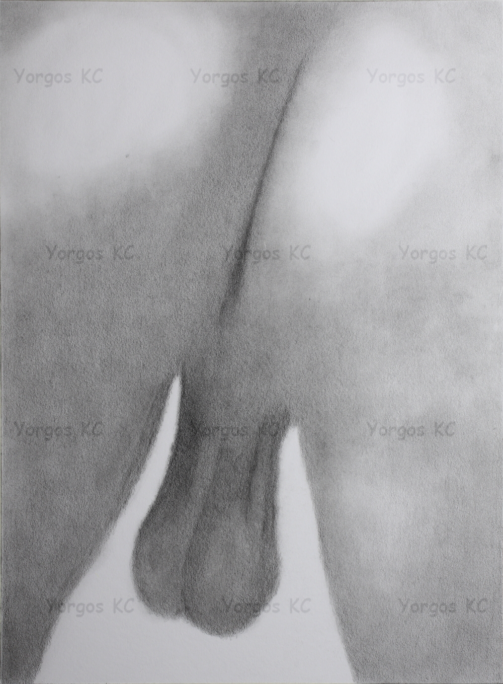A close-up pencil drawing of the ass and balls of a nude guy.