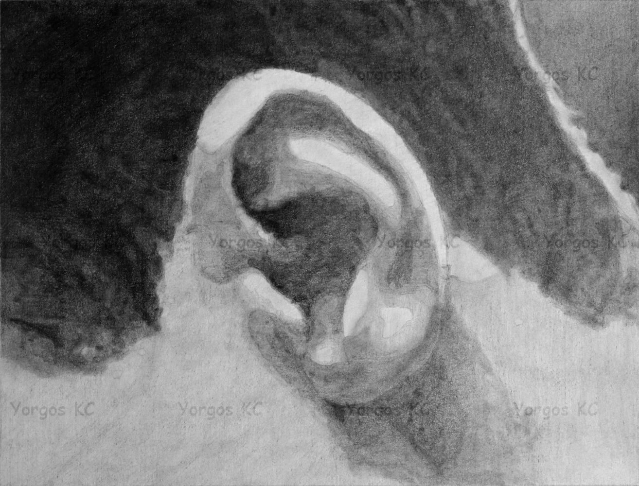 A pencil drawing of a guy's ear