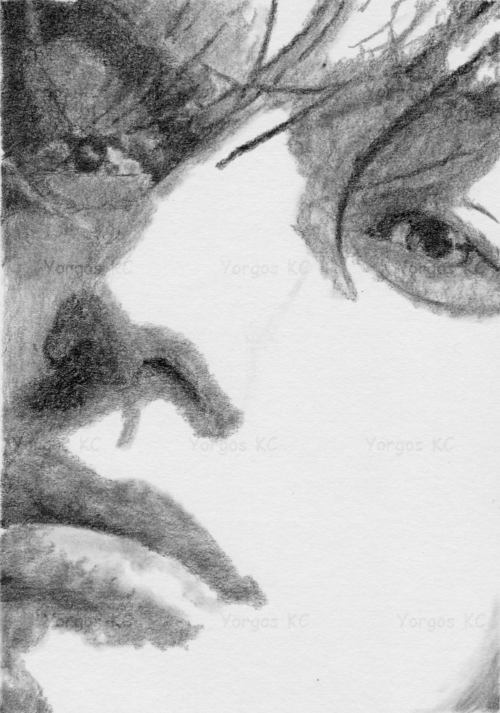 A pencil drawing of a guy's face. It's a close-up living much of the face out of frame.