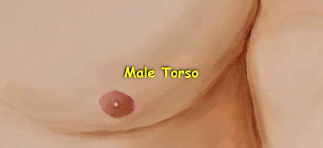 An oil painting of a guy's torso.