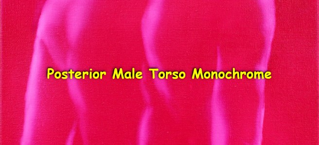 A pink monochrome of the back side of a standing naked guy.