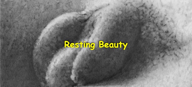 A pencil drawing of a beautiful flaccid dick resting.