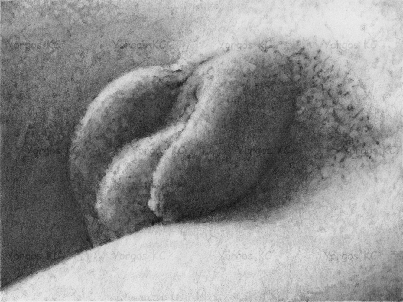 A close up pencil drawing of a beautiful flaccid dick.