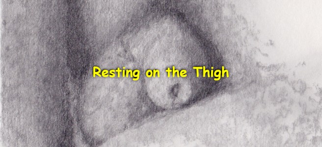A close up pencil drawing of a flaccid dick resting on the thigh.