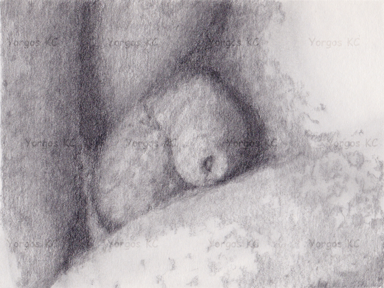 A close up pencil drawing of a flaccid dick resting on the thigh.