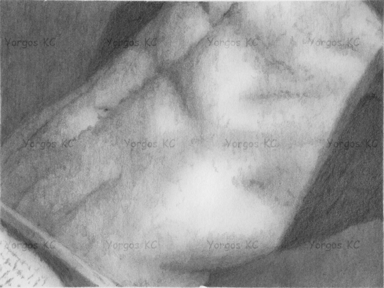 A pencil drawing of a guy who has lifted his t-shirt to reveal his belly and stomach.