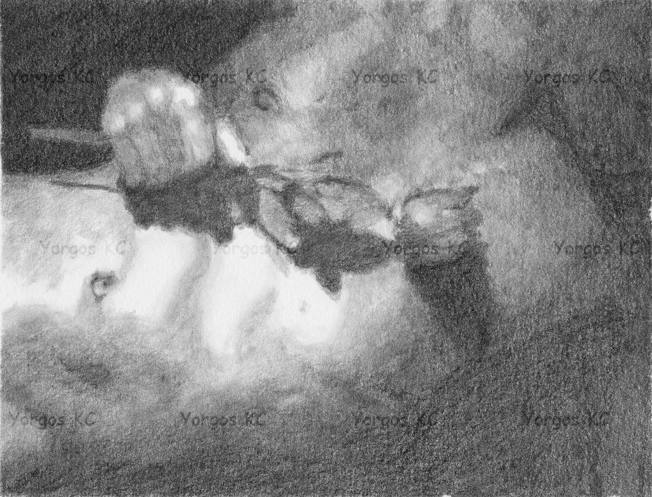 A pencil drawing of a naked guy holding a rose over his chest.