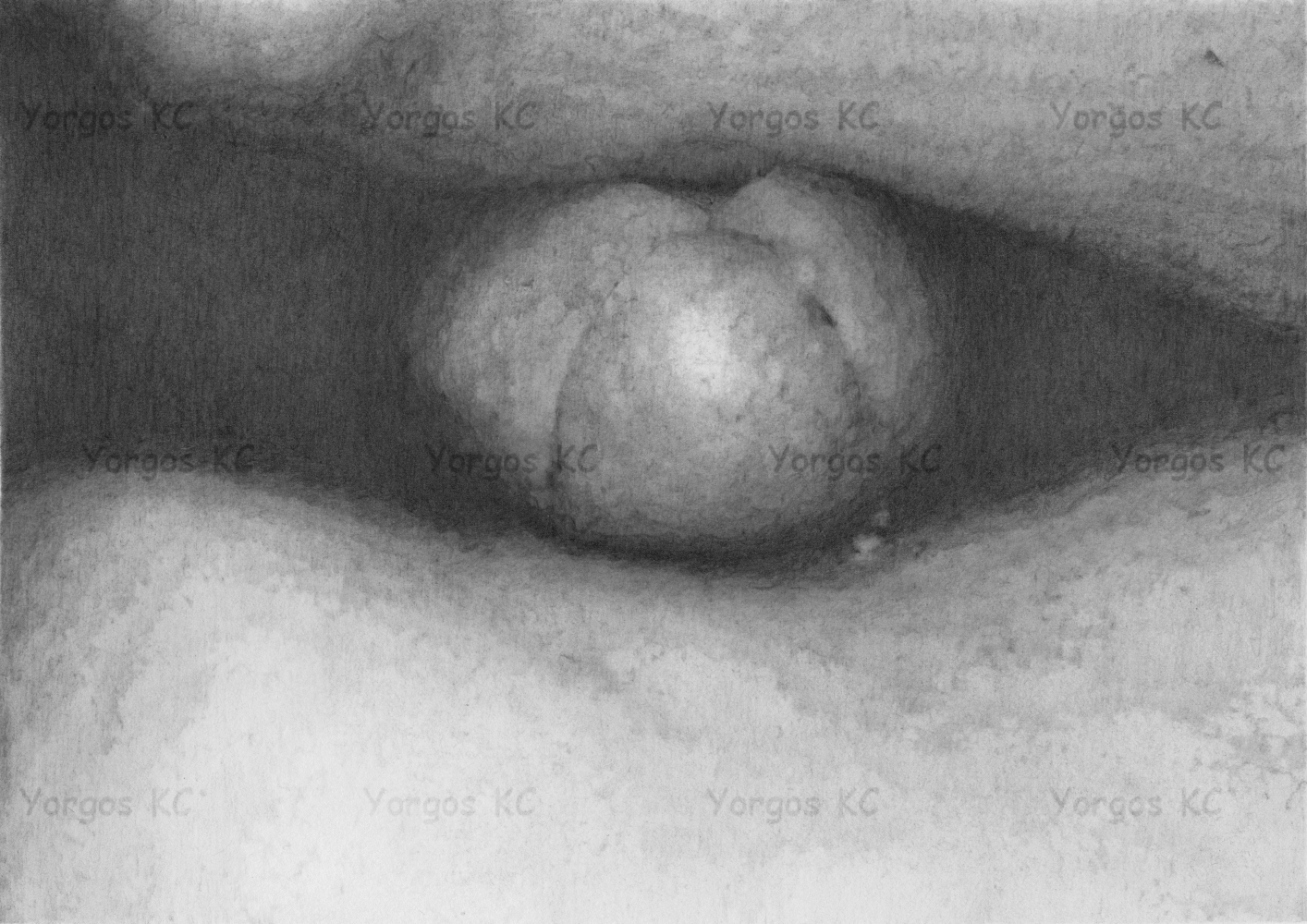 A close up pencil drawing of a guy using his belly to rub another guy's dick against his body.