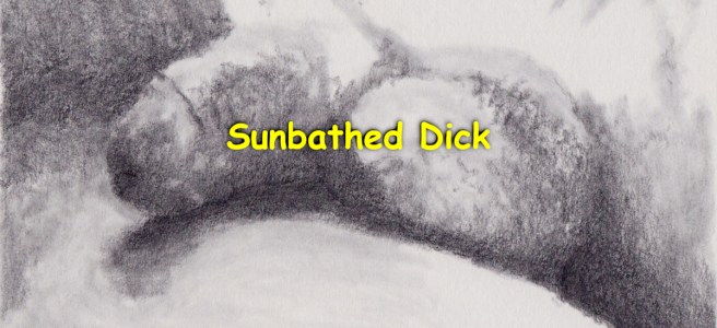 A close-up pencil drawing of a dick flaccid dick, under sunlight.