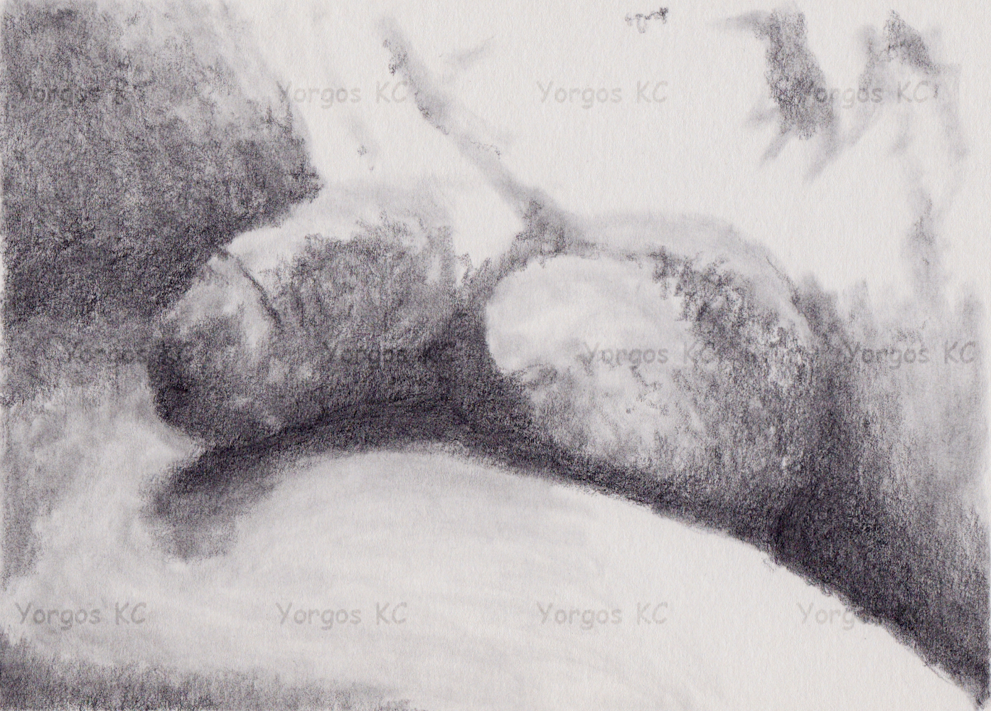 A close-up pencil drawing of a dick flaccid dick, under sunlight.