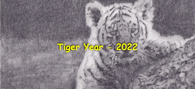 A pencil drawing of a tiger cub peeking at the camera from behind some rocks.