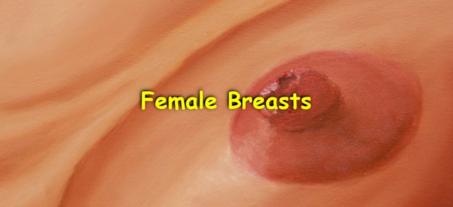 A crop of an oil painting showing a close-up of a nude woman's breast and part of her torso. On top of the painting there is the title, "Female Breasts", written with yellow letters