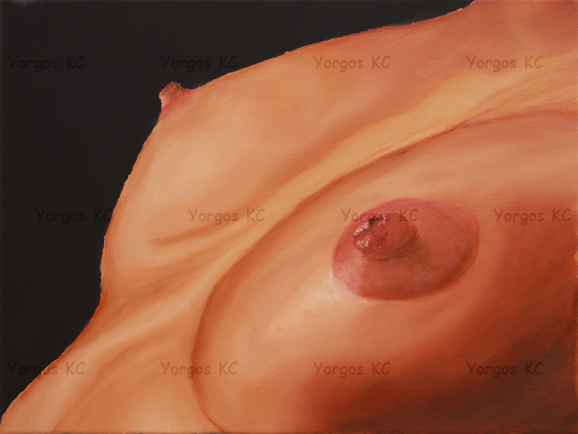 Oil painting showing a close-up of a nude woman's breast and part of her torso, cropped diagonally against a nearly black background. Warm orange, peach and golden tones illuminate the rounded breast, with detailed shading around the nipple and areola. Strong contrasts between light and shadow emphasise the curves and contours of the body.